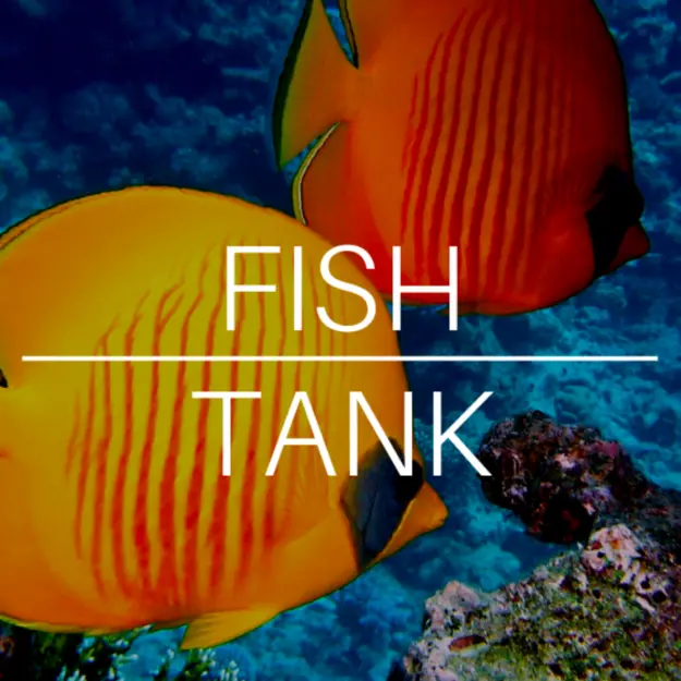 Fish Tank