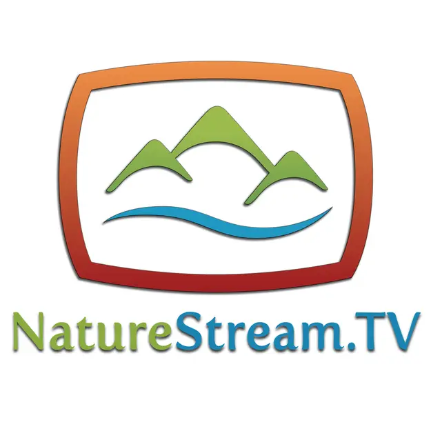 NatureStream.tv