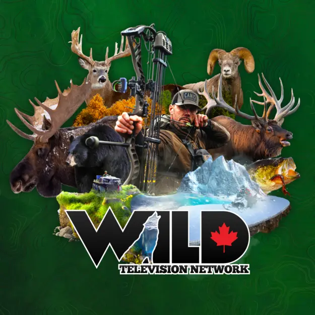 Wild TV