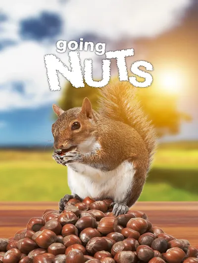 Going Nuts: Tales from Squirrel World
