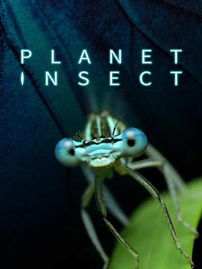 Planet Insect