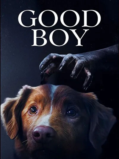 Good Boy