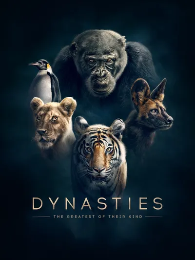 Dynasties