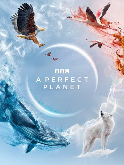 A Perfect Planet