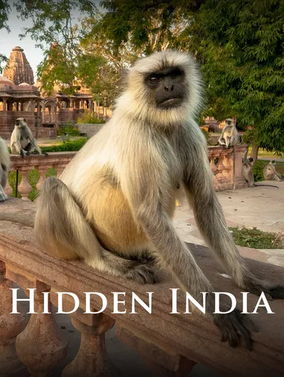 Hidden India