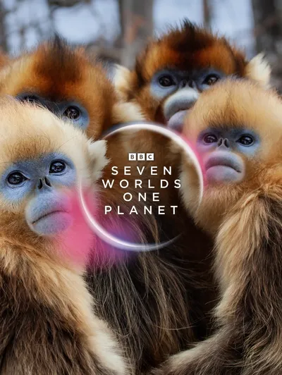 Seven Worlds, One Planet