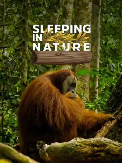 Sleeping in Nature
