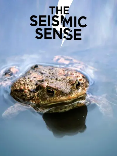 The Seismic Sense