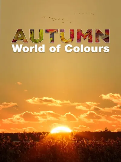 Autumn - World of Colours