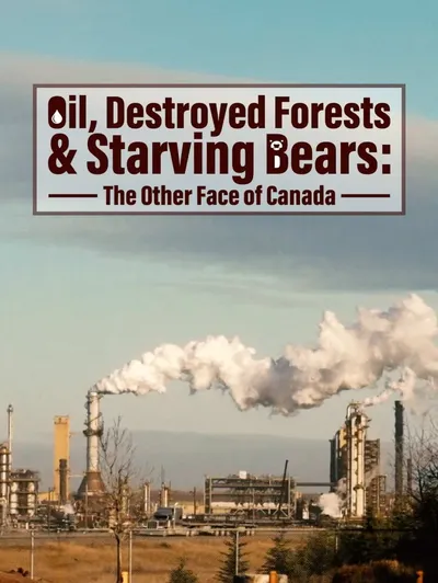 Oil, Destroyed Forests & Starving Bears The Other Face of Canada