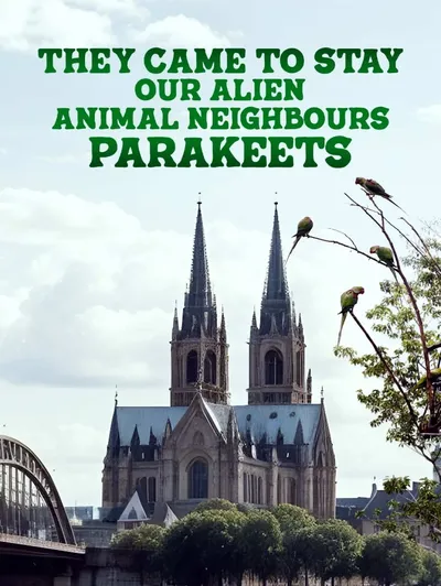 They Came to Stay Our Alien Animal Neighbours Parakeets