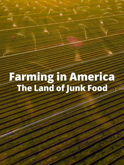 Farming in America The Land of Junk Food