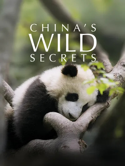 China's Wild Secrets