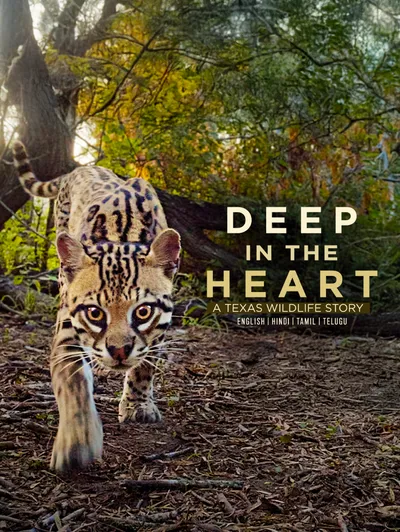 Deep in the Heart: A Texas Wildlife Story