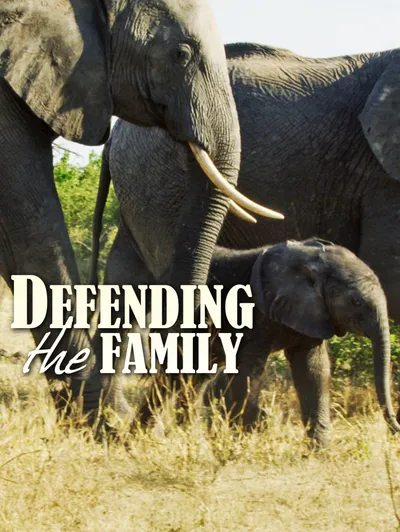 Defending the Family