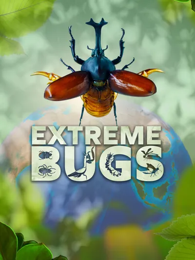 Extreme Bugs