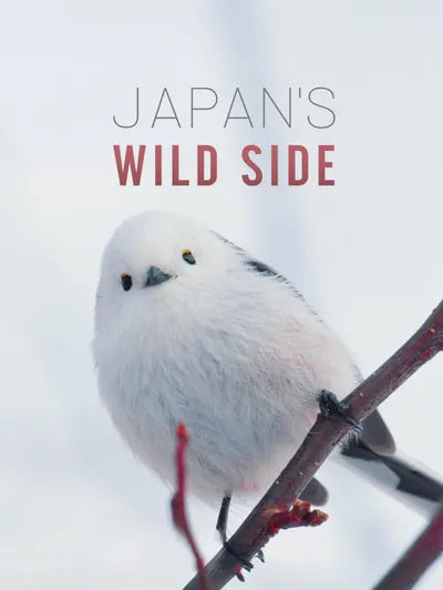 Japan's Wild Side