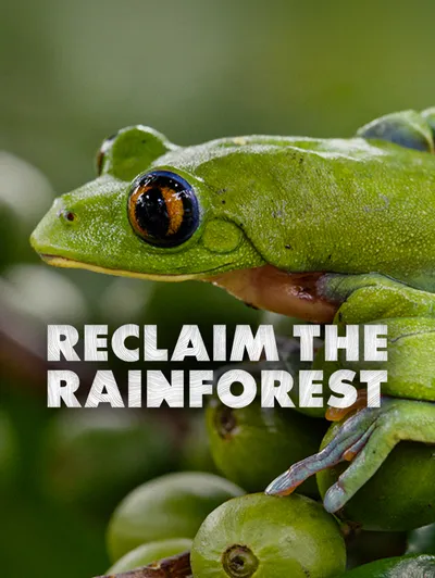 Reclaim The Rainforest
