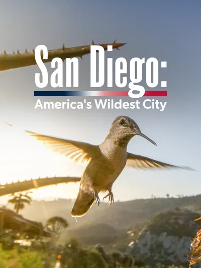 San Diego: America's Wildest City