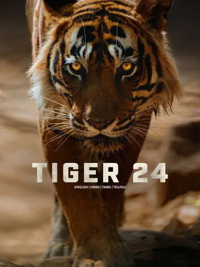 Tiger 24