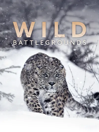 Wild Battlegrounds