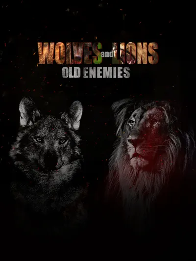 Wolves & Lions: Old Enemies
