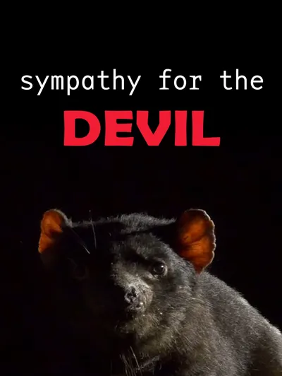 SYMPATHY FOR THE DEVIL