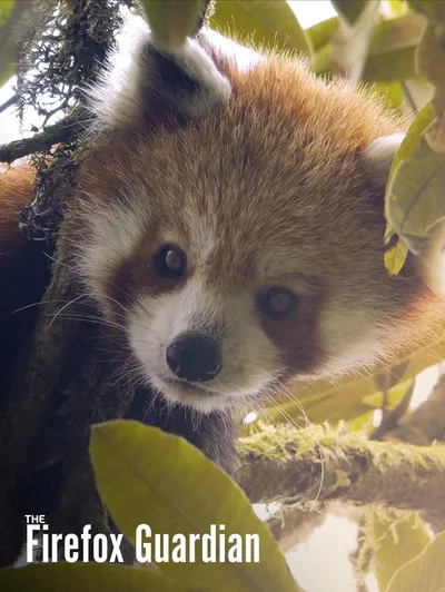 THE FIREFOX GUARDIAN