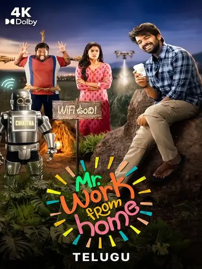 Mr. Work From Home