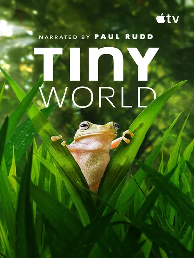 Tiny World