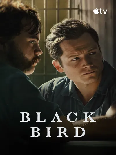 Black Bird