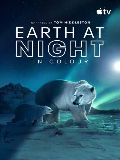 Earth at Night in Colour