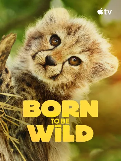 Born to Be Wild