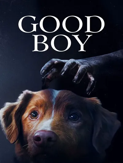 Good Boy