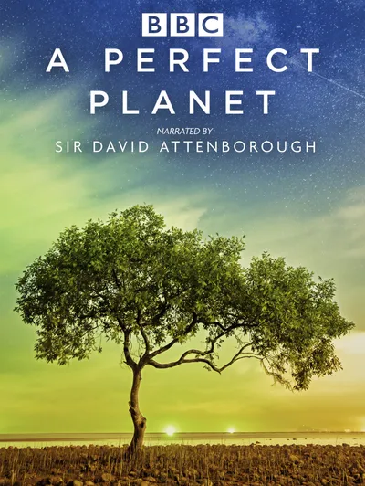 A Perfect Planet