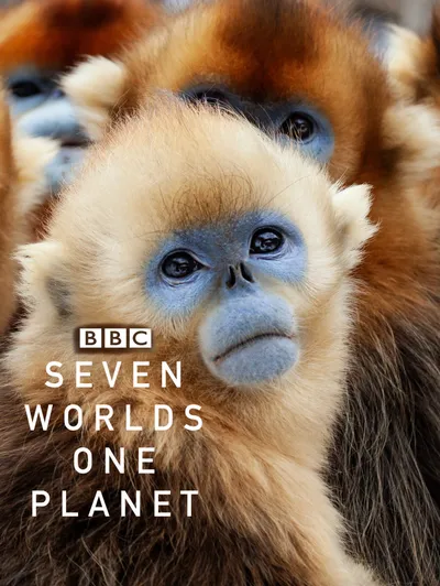 Seven Worlds, One Planet