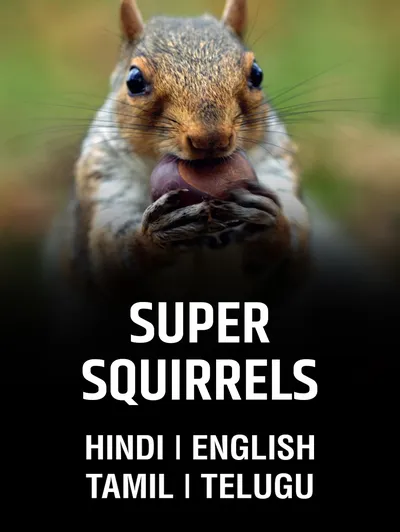 Super Squirrels (Natural World)