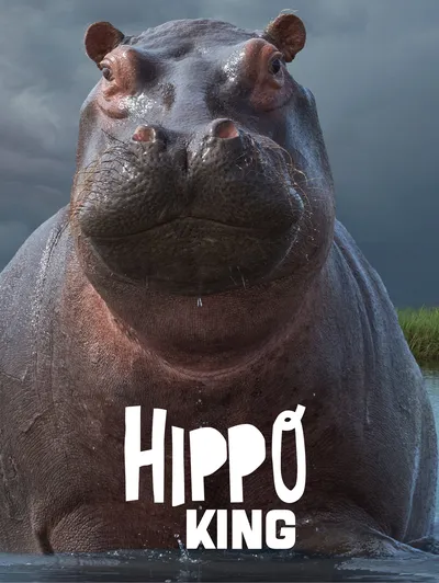 The Hippo King