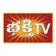 Rachana Television