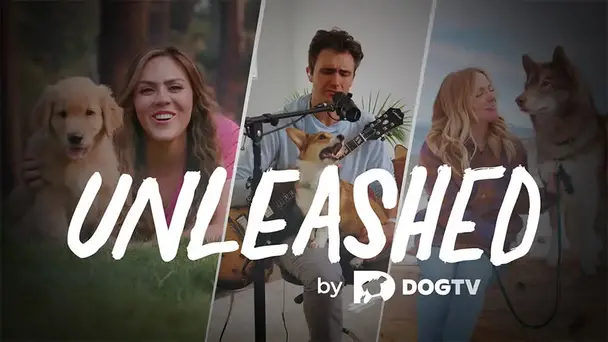Unleashed by DOGTV