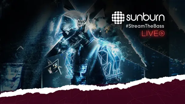 Alan Walker | Sunburn Arena 2019