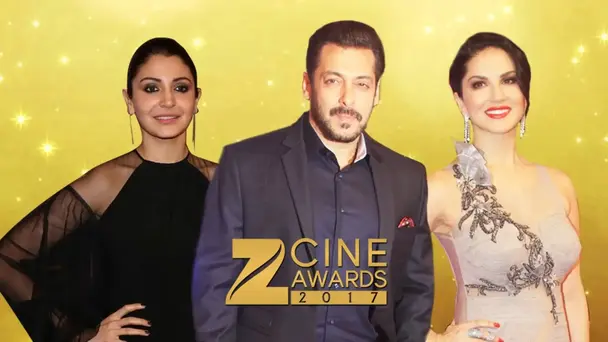 Zee Cine Awards 2017 - Full Event - 1st April 2017