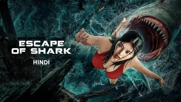 Escape of Shark