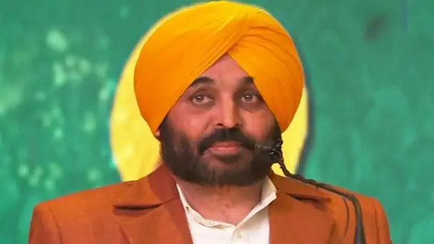 vat on petrol in punjab