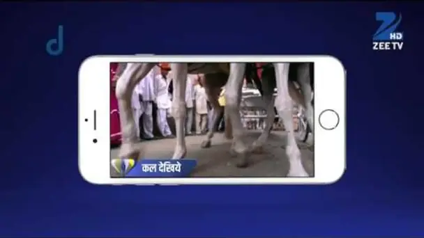 Ek Tha Raja Ek Thi Rani - Episode 2 - July 28, 2015 - Full Episode