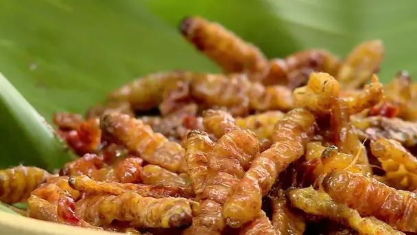 Episode 2 - Exotic Nagaland dish and Matar Chilke Ki Sabzi - Rocky And Mayur's Food Xpress