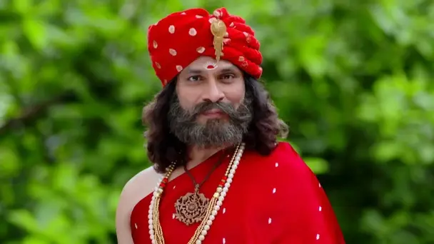 Satyavan and Savitri Get Married