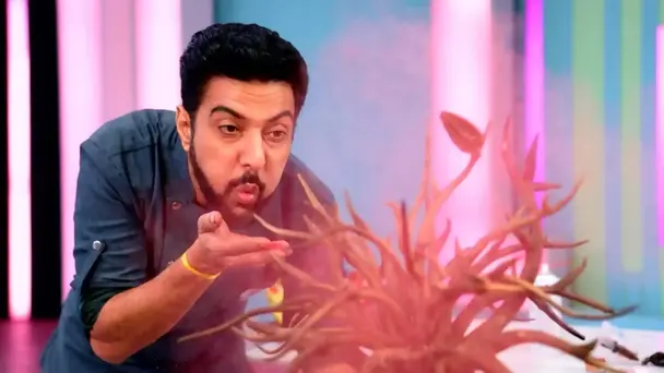 Super Bakers Reveal and Masterclass