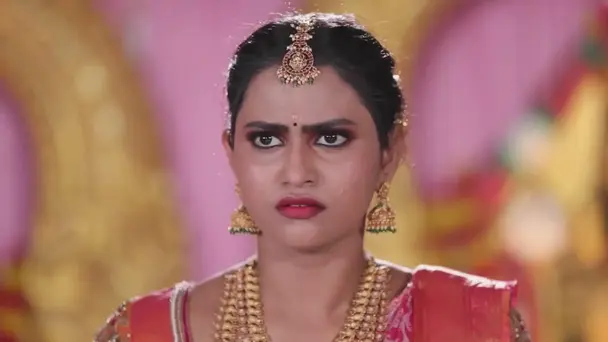 Vidhya No. 1 - February 25, 2024 - Webisode