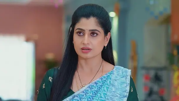 Radhaku Neevera Praanam - April 13, 2024 - Webisode